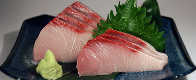 Hon Hamachi